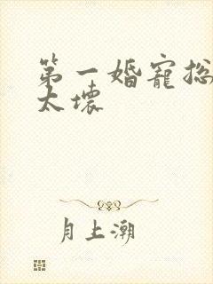 第一婚宠总裁别太坏