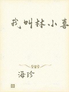 我叫林小喜小说
