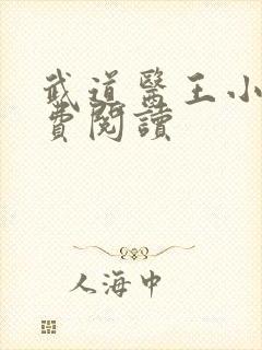 武道医王小说免费阅读