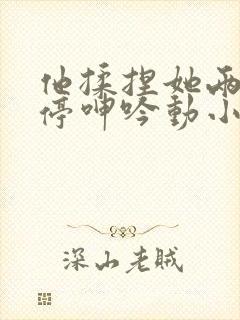 他揉捏她两乳不停呻吟动小说片段