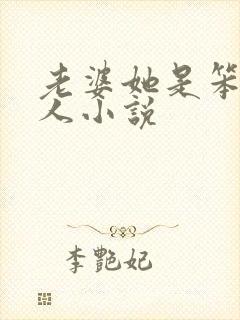 老婆她是笨蛋美人小说封面