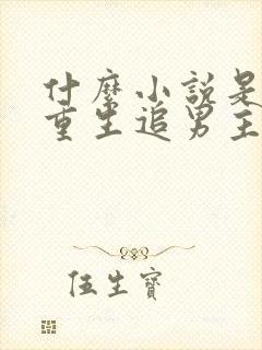 什么小说是女主重生追男主的