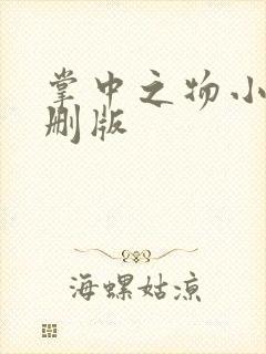 掌中之物小说未删版