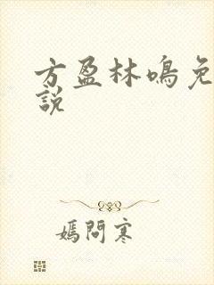 方盈林鸣免费小说