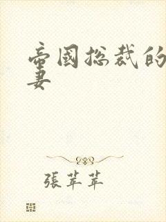 帝国总裁的高冷妻封面