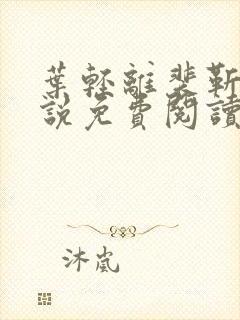 叶轻离裴靳墨小说免费阅读无弹窗