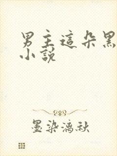 男主这朵黑莲花小说