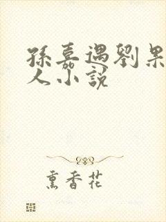 孙嘉遇刘果宁同人小说