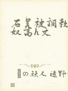 石昊被调教成肉奴高h文