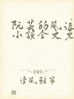 阮芸的风流人生小说全文免费阅读