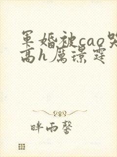 军婚被cao哭高h厉璟霆封面