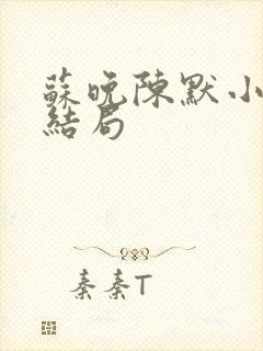 苏晚陈默小说大结局