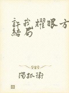 许我耀眼方雷的结局封面