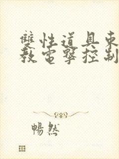 双性道具束缚调教电击控制文