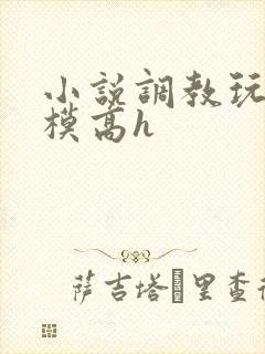 小说调教玩弄嫩模高h