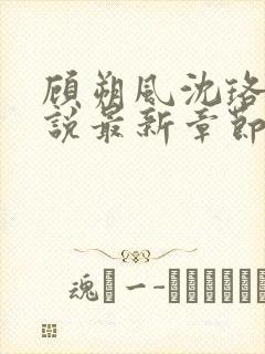 顾朔风沈珞舒小说最新章节更新内容