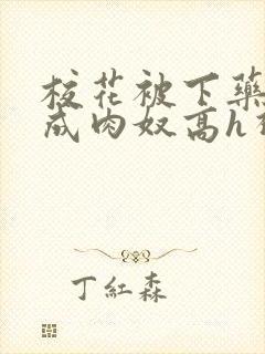 校花被下药调教成肉奴高h视频封面