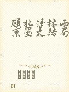 顾北潇林雨菲谢京墨大结局