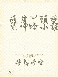 通房丫头双乳高耸呻吟小说