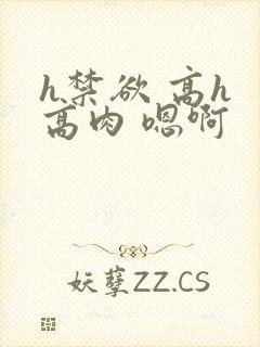 h禁欲 高h 高肉 嗯啊