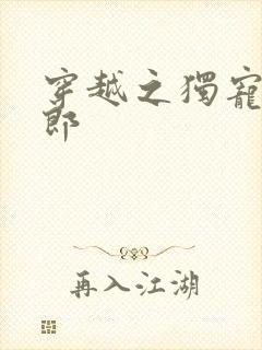 穿越之独宠小夫郎