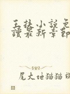 王扶小说免费阅读最新章节无弹窗封面