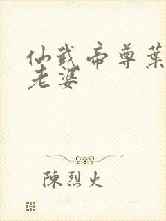 仙武帝尊叶辰的老婆