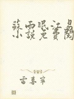 苏雨眠江易淮的小说免费阅读