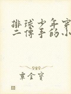 排球少年穿越成二传手的小说