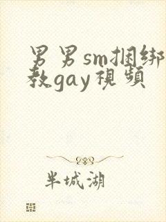 男男sm捆绑调教gay视频