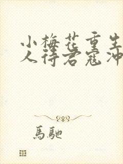 小梅花重生之美人待君寇冲封面