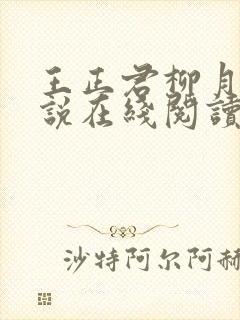 王正君柳月瑶小说在线阅读