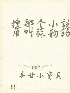 搜那个小说女主角叫苏韵的