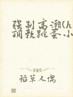 强制高潮(h)调教跳蛋小说