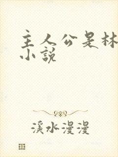 主人公是林凡的小说