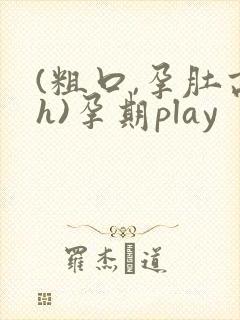 (粗口,孕肚高h)孕期play