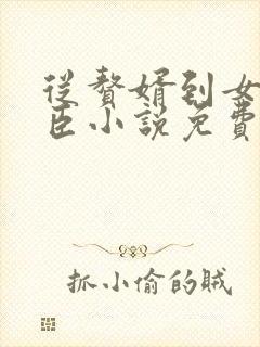 从赘婿到女帝宠臣小说免费循环播放