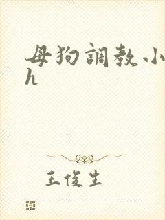 母狗调教小说高h