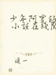 少年阿宾的故事 小说在线阅读