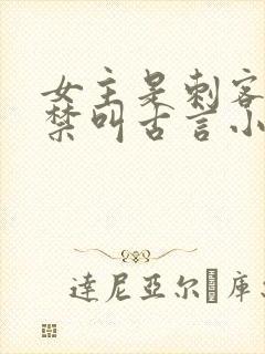 女主是刺客被囚禁叫古言小说封面