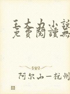 王大力小说小说免费阅读无弹窗