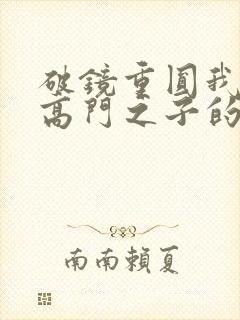 破镜重圆我爱上高门之子的小说免费阅读