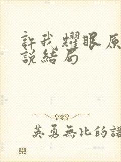 许我耀眼原著小说结局封面