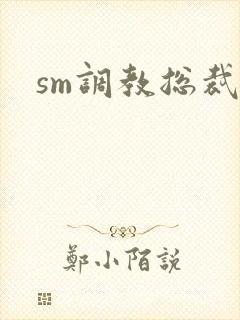 sm调教总裁文