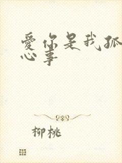 爱你是我孤独的心事