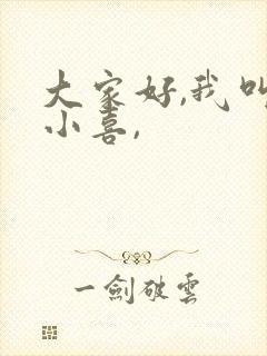 大家好,我叫林小喜,