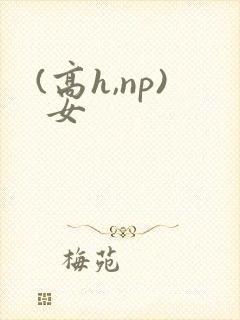(高h,np) 女