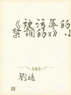 《被污辱的x被禁锢的x》小说封面