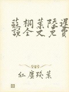 苏桐叶陆迟寒小说全文免费阅读全文