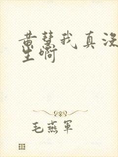 黄慧我真没想重生啊